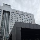 순수빙떡 | 제주 메종 글래드 삼다정 런치 창립48주년 48%할인 후기 6/24일 단하루 스압주의
