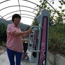 구레울체험마을 이미지