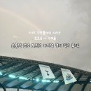 세곡-111 | 토트넘 뉴캐슬 경기 직관 :: 2025 쿠팡플레이 토트넘홋스퍼 손흥민 고별전 마지막 내한 경기 후기