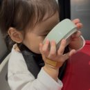 금송아지목장 이미지