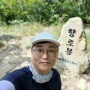 무주읍100 이미지