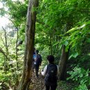 소정면사무소 이미지