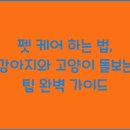 강아지와고양이 이미지