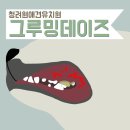 (주)청려원 이미지