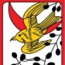 오월의꿈 브런치
