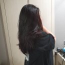 양언니의주방