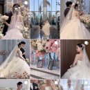 페리도트 - 화성시 | 💐 05. 우당탕탕 결혼 준비기 [아이폰스냅] - 페리도트스냅 가격, 예약 후기