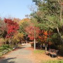 부곡근린공원 이미지