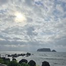 유채와바다 | 서귀포 산책코스 추천 두머니물 공원 후기｜JS호텔 근처 유채꽃 바다뷰 카페까지 완벽해요