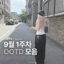 닥터오즈주 | 9월 1주차 OOTD ..⋆˳ l 드라이로즈, 아캄, 칙스, 유니클로, 지그재그