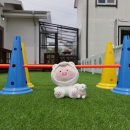 댕댕이계곡펜션 이미지