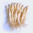 대명농장 이미지