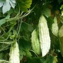 노곡농장 이미지