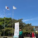 궁 노래연습장업 | 2026 봄 궁중문화축전 후기