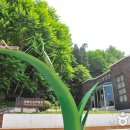 영월곤충박물관 이미지