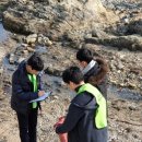 녹색환경연합(주) 이미지