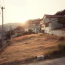 열린문공인중개사사무소 | 직거래 피해 줄이고 전문성 높인다…공인중개사 제도 개선 로드맵