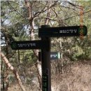 천보체육회 이미지