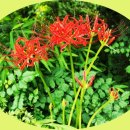 당치경로당 이미지