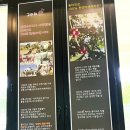 그라지愛