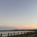 제주 돌고래 이미지