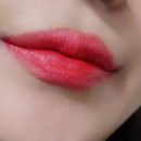 스테이 드레곤 이미지