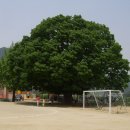 하루비어 이미지