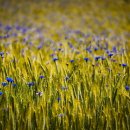 민 행정사 이미지