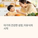 이유식 후기, 실제 엄마들의 추천 레시피