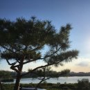 다이닝데이 이미지