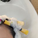 [전대 후문 미용실] 찐 단골 후기, 단발 펌 하러간 &#34;우이 헤어디자인&#34;