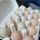 리안이네농장 이미지