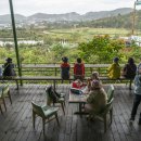 죽림농장 이미지