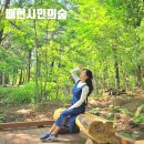 시민의숲산책로1-1 이미지