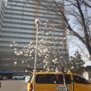 윤성공인중개사사무소 이미지