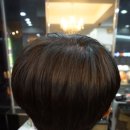 미성헤어라인 - 구미시 | 미성헤어라인