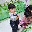 성준농장 이미지