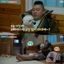 개랑, 마리 이미지