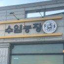 무지개농장 | 남양주 파충류샵 수염농장에사 크레스티드게코 분양 후기