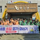 깨끗한환경 Daum카페