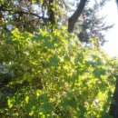 메모리 | 리코GR3 HDF 수리 후기 - 메모리카드 호환