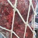 보성중고등학교 정문(우측) | 이천맛집 인생고기집 정육식당 4월 국내여행 가볼만한곳 위치 메뉴 가격 후기