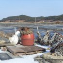 장곡3리 이미지