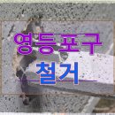 더큰 태권도장 | 영등포구 문래동 원상복구 철거 폐업지원금 받은 태권도장 관장의 솔직 후기