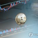 641 이미지
