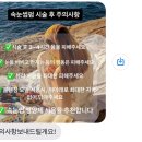 유얼브로우