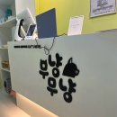 고양이호텔 무냥무냥 김해점 | [내돈내산] 고양이호텔 장기숙박