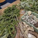 구암동587 이미지