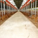 김정수농장 이미지