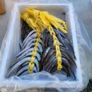 🐟🐟붕붕카 수산시장오픈 합니다 🥗🥗무농약인증 유럽샐러드채소 공구합니다. 이미지